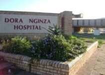 Dora Nginza Hospital Nursing School Contact Details