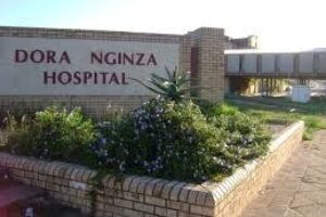 Dora Nginza Hospital Nursing School Contact Details