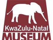 Kwa-Zulu Natal Museum Internship
