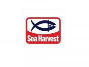 Sea Harvest Graduate Recruiting Programme